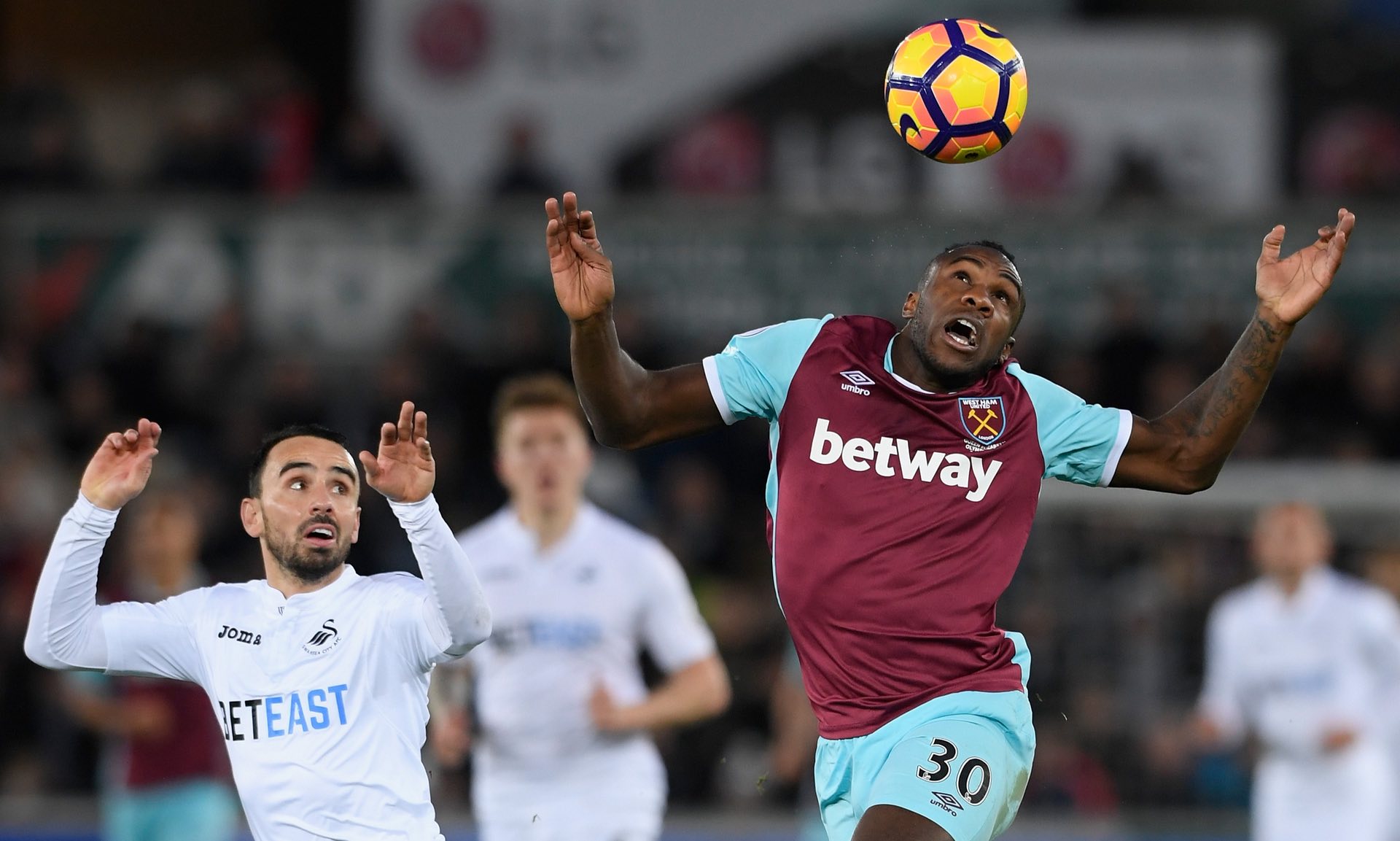 全能型右后 全能型右后